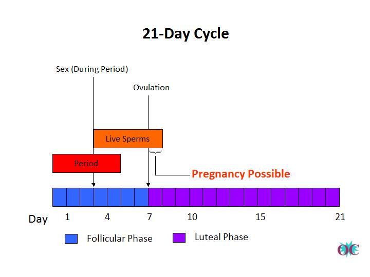 Possible to get pregnant on period