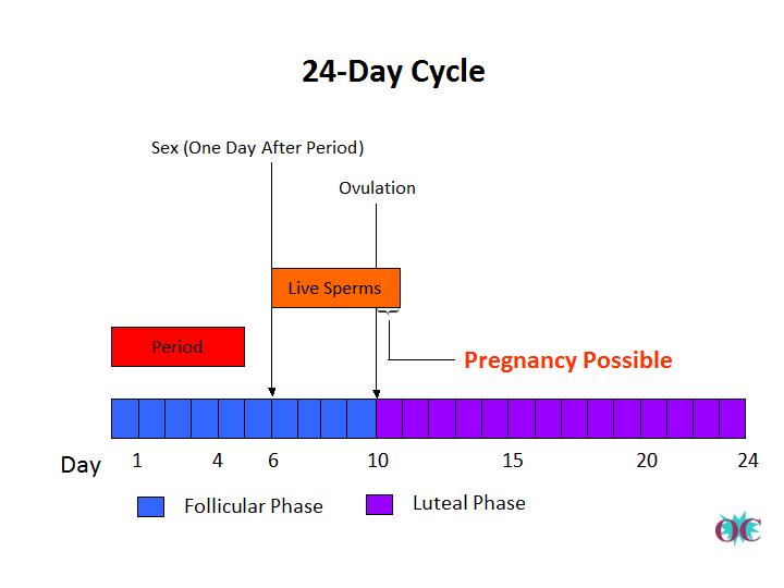 Possible to get pregnant right after period